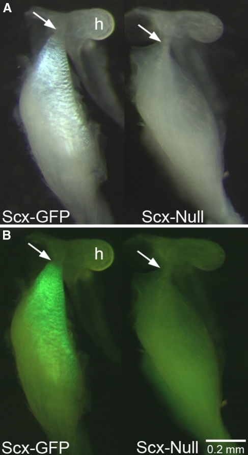 FIG. 6