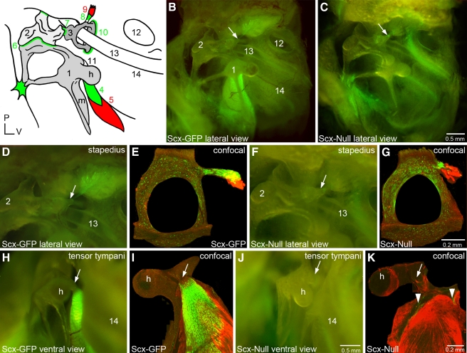 FIG. 4