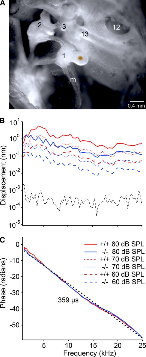 FIG. 3