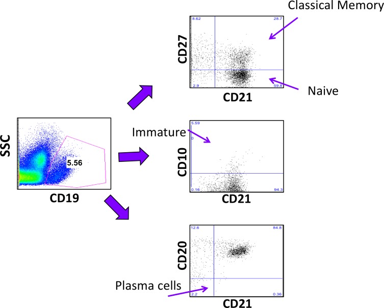 Figure 4—figure supplement 1.