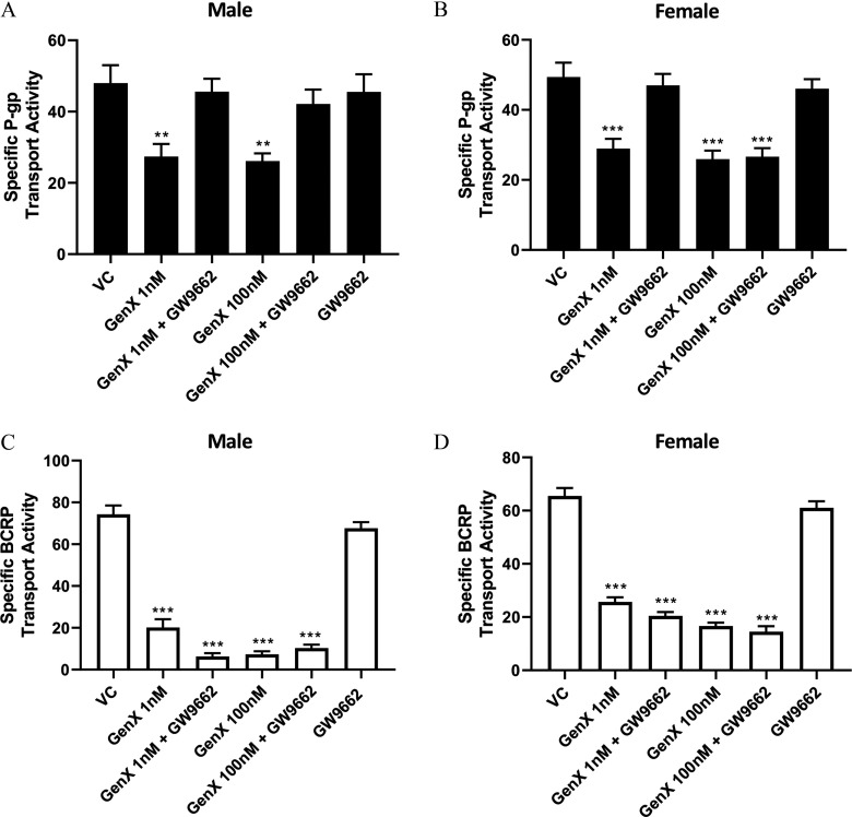 Figures 6A and 6B titled male and female, respectively, are bar graphs plotting specific P-gp transport activity ranging from 0 to 60 in increments of 20 (y-axis) at VC, GenX 1 nanomolar, GenX 1 nanomolar plus GW9662, GenX 100 nanomolar, GenX 100 nanomolar plus GW9662, and GW9662 (x-axis). Figures 6C and 6D titled male and female, respectively, are bar graphs plotting specific BCRP transport activity ranging from 0 to 100 in increments of 20 and from 0 to 80 in the increments of 20 (y-axis), respectively, at VC, GenX 1 nanomolar, GenX 1 nanomolar plus GW9662, GenX 100 nanomolar, GenX 100 nanomolar plus GW9662, and GW9662 (x-axis).