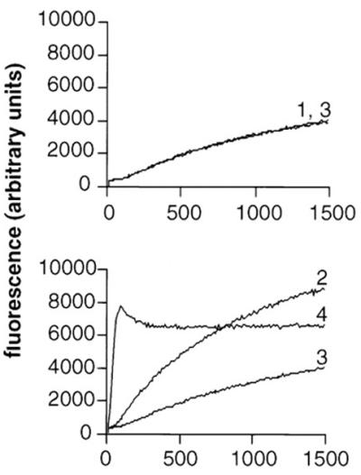 FIG. 8