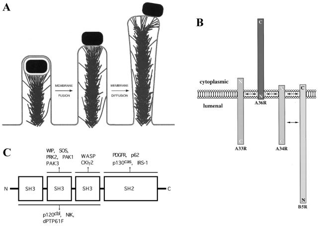 FIG. 23