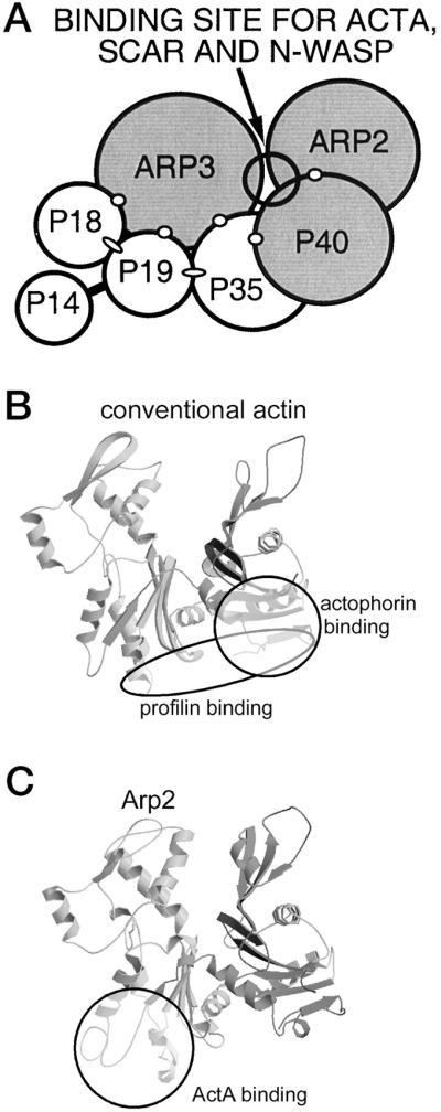 FIG. 10