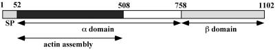 FIG. 14