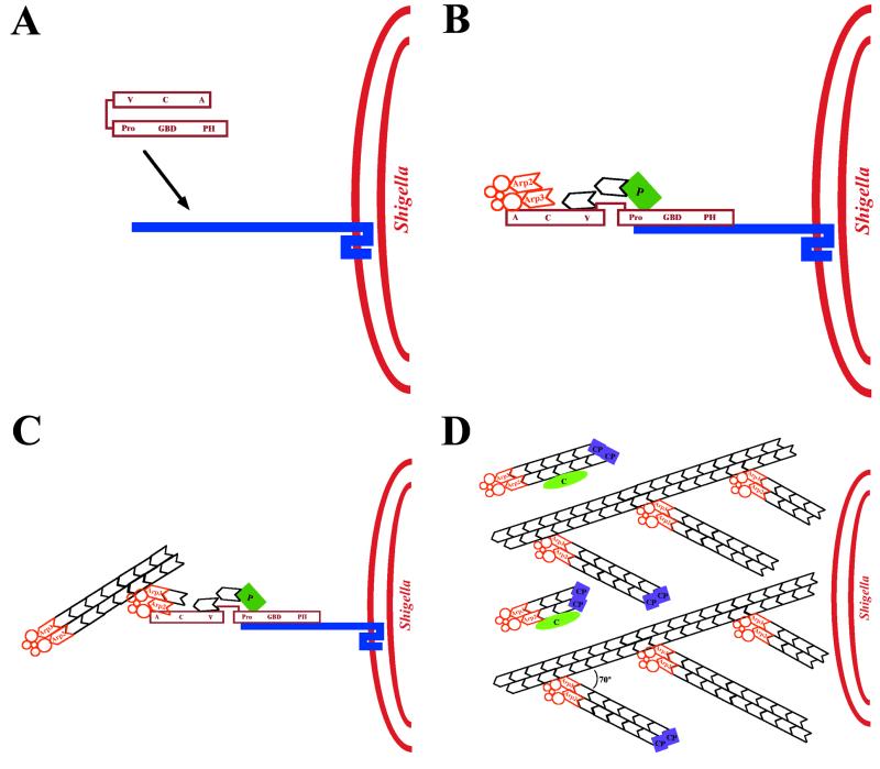 FIG. 20