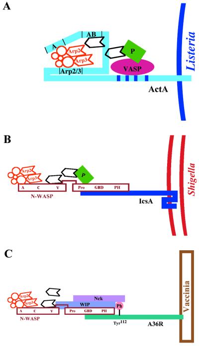 FIG. 27