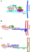 FIG. 27