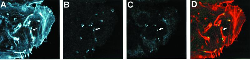 FIG. 17