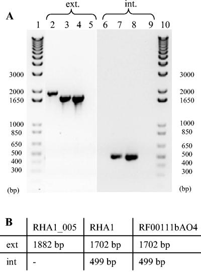 FIG. 5.