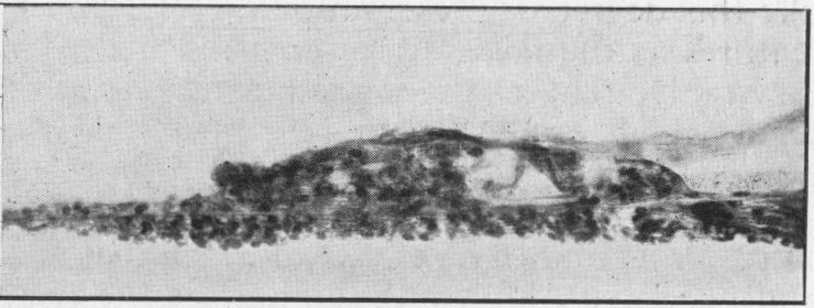 Fig. 5b