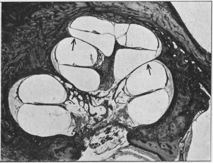 Fig. 4b