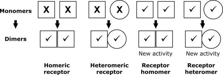 Fig. 8.