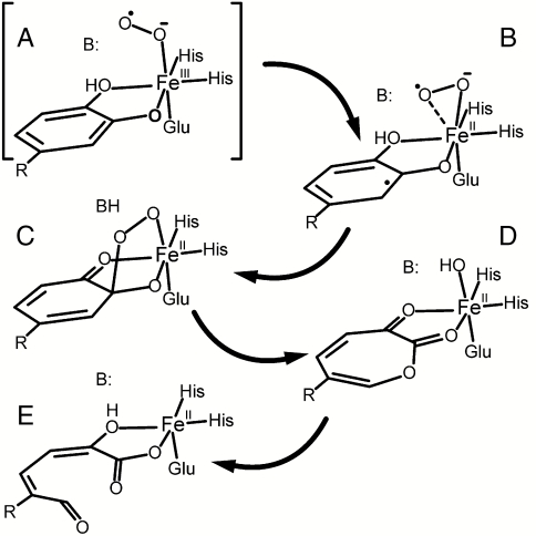 Scheme 1.