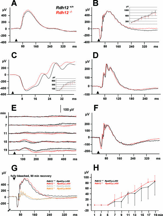 FIG. 8.