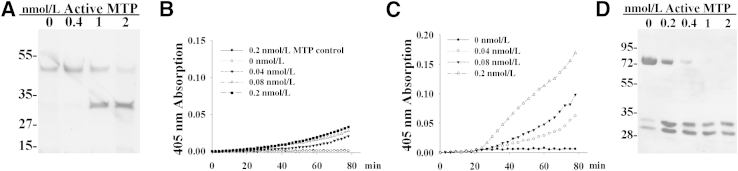 Figure 5