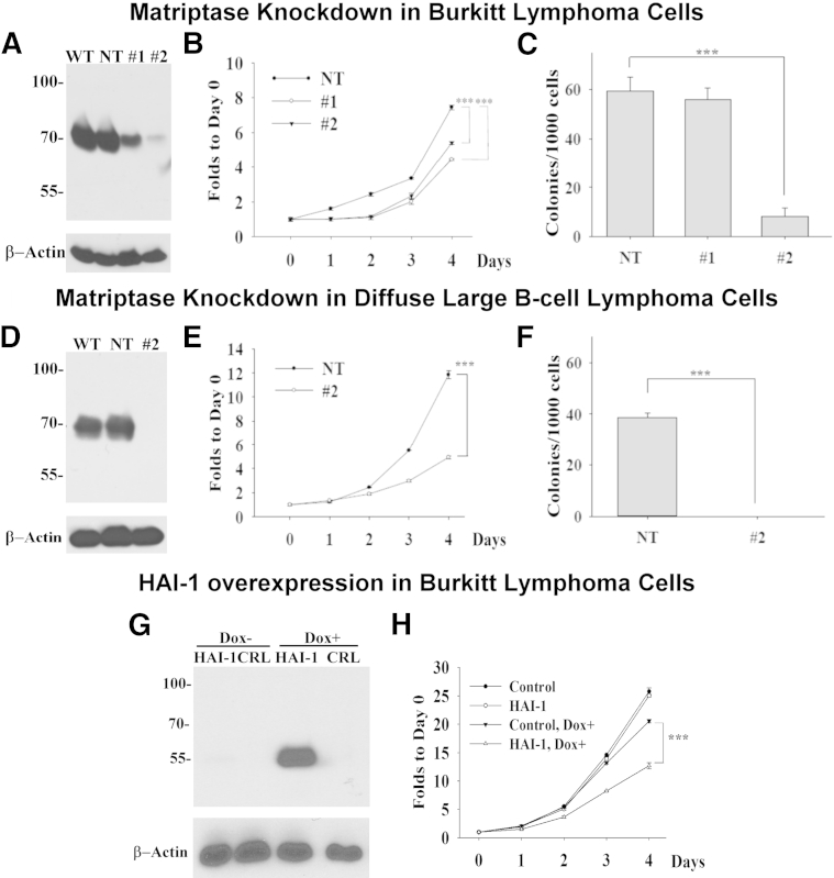 Figure 6