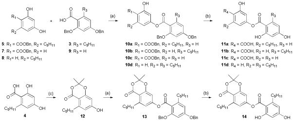 Scheme 2