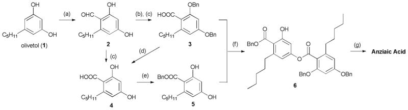 Scheme 1