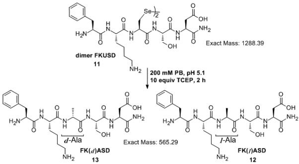 Scheme 6