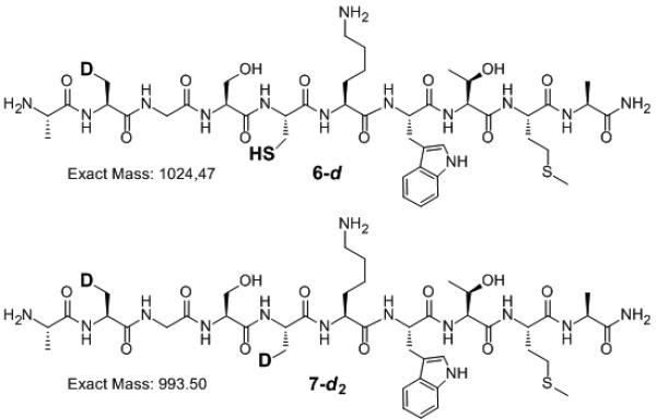 Scheme 5