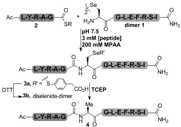 Scheme 1