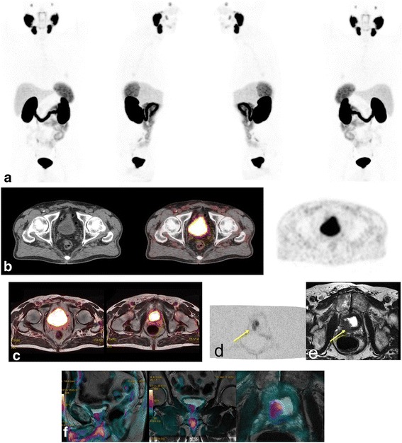 Fig. 5