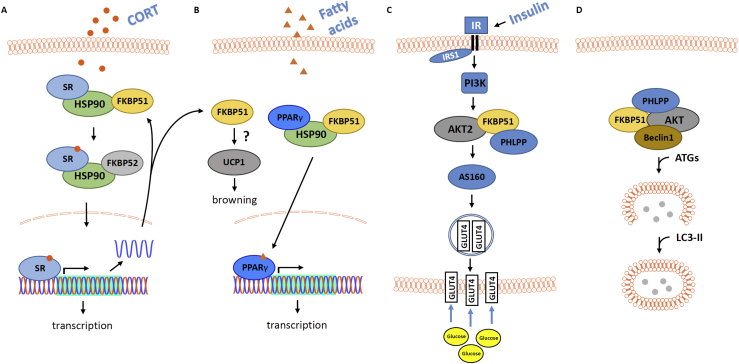 Figure 2