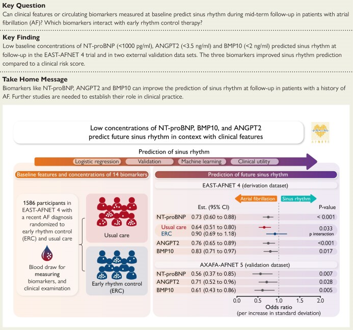 Structured Graphical Abstract