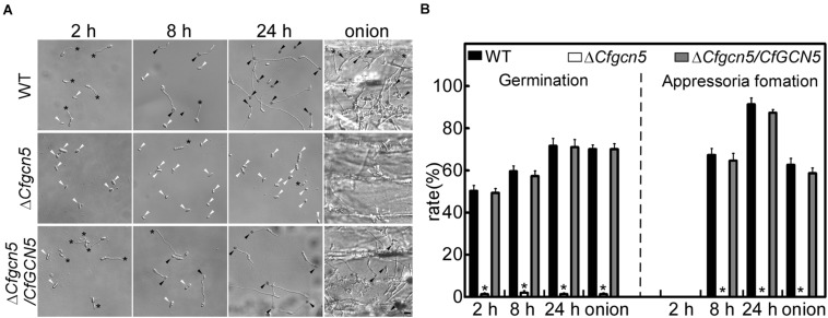 FIGURE 4