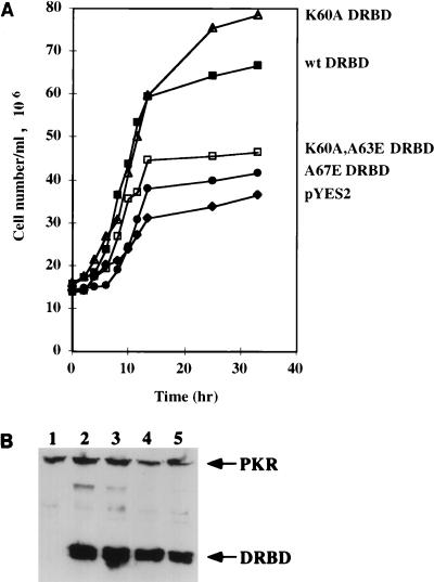 FIG. 12