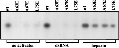 FIG. 7