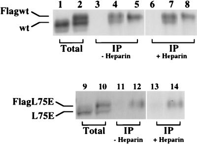 FIG. 8