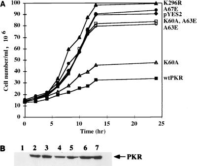 FIG. 11