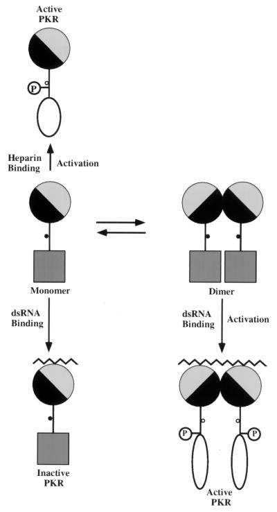 FIG. 13