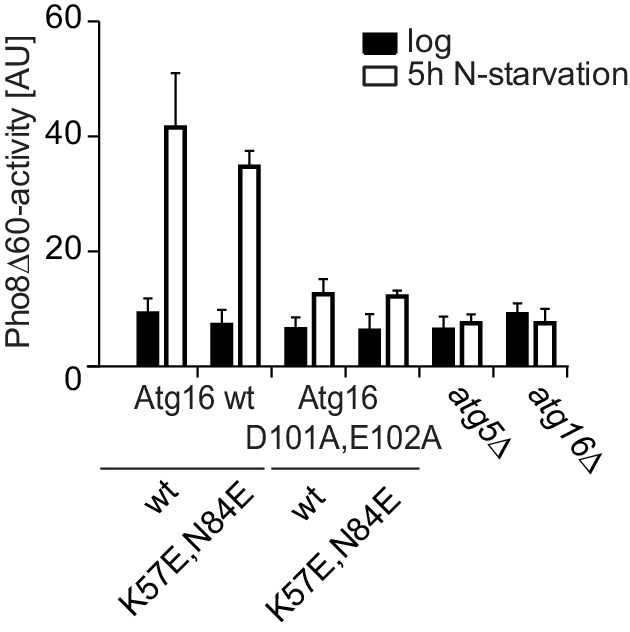 Figure 5—figure supplement 4.