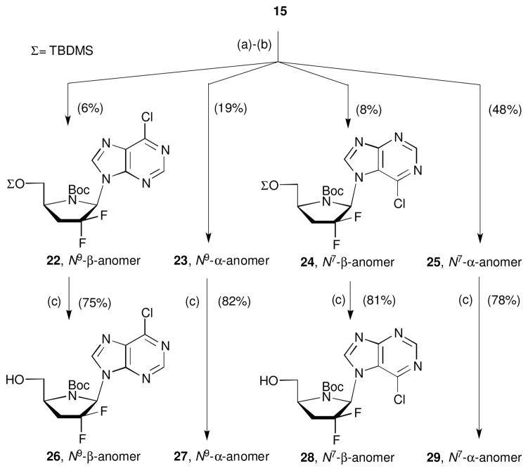 Scheme 5