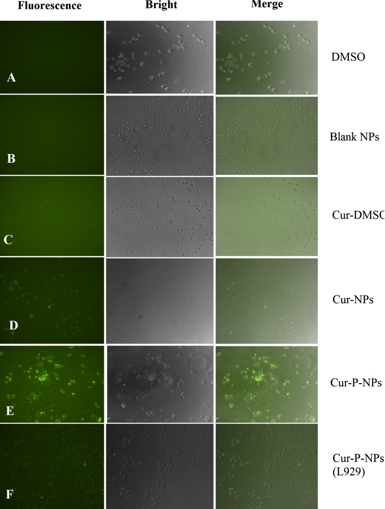 Fig. 10