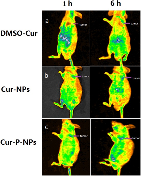 Fig. 12