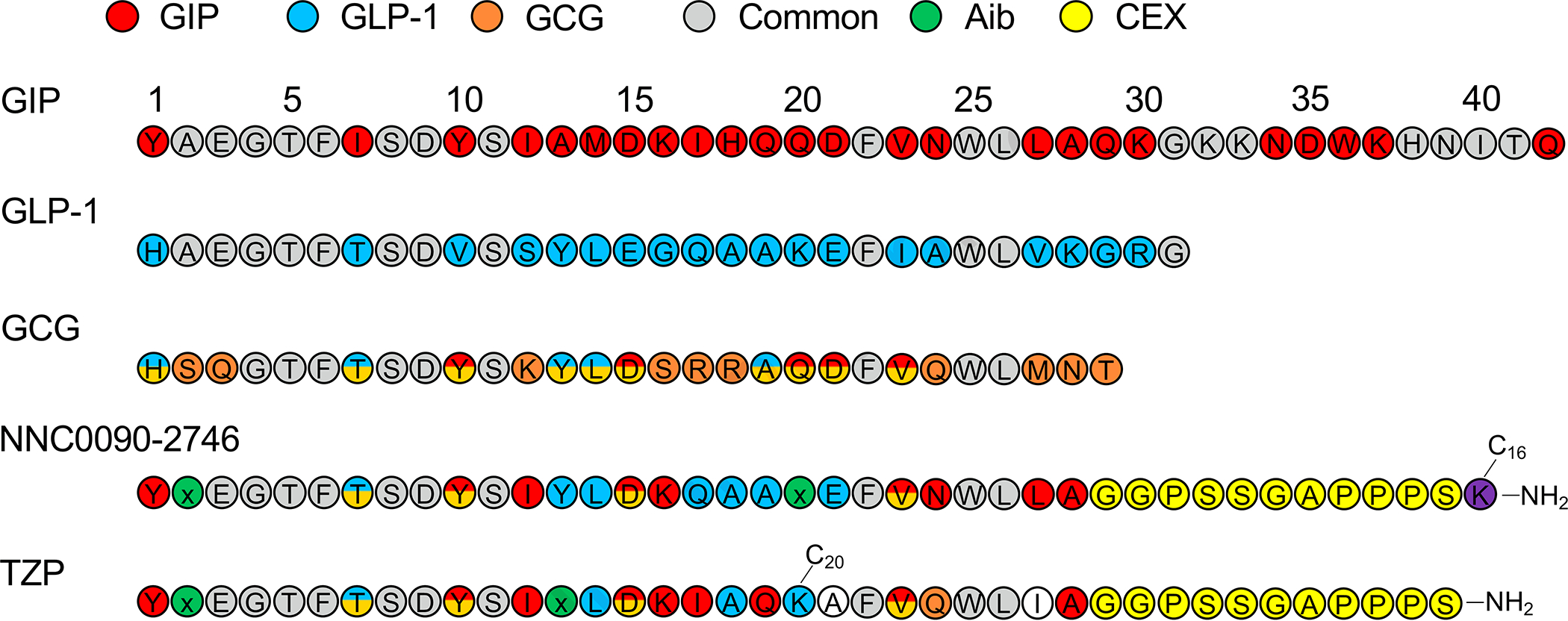 Figure 3.