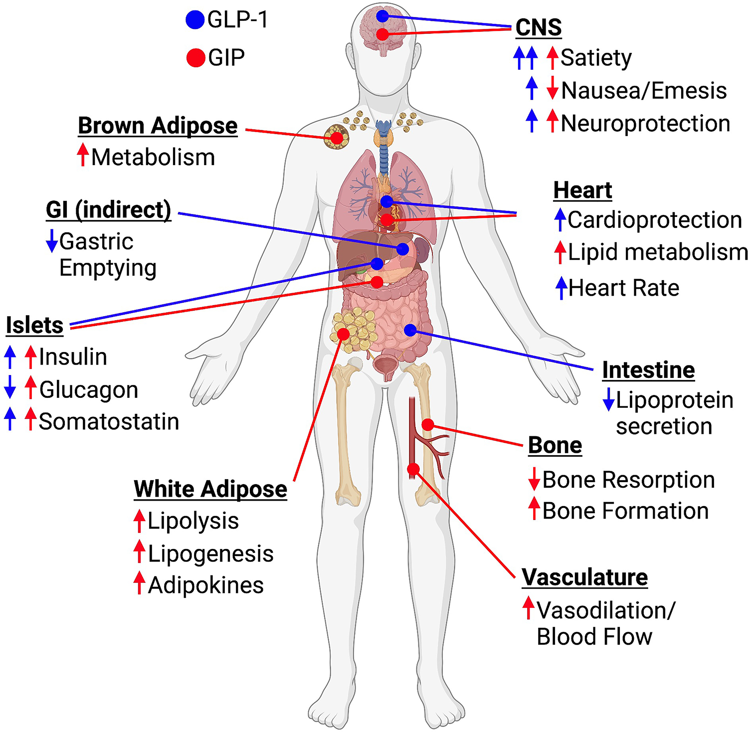 Figure 4.