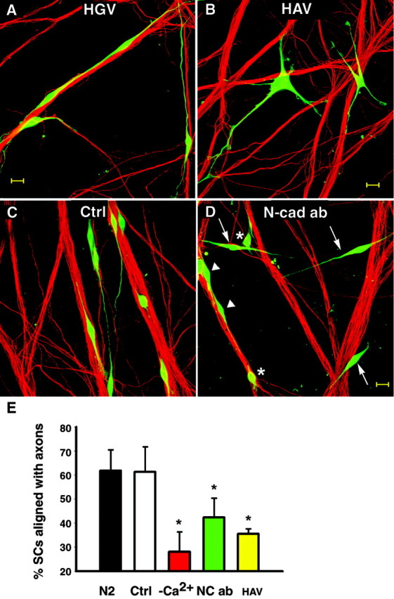 Fig. 9.