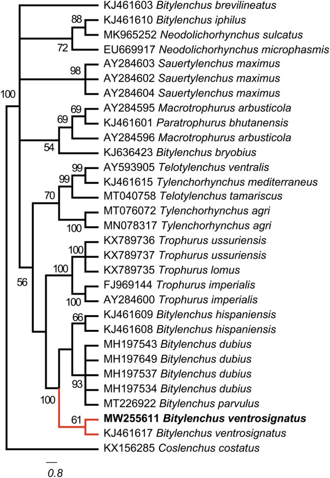 Figure 3: