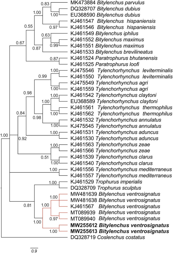 Figure 4: