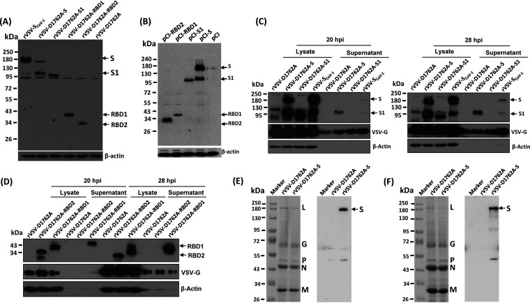 FIG 2