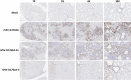 FIG 12