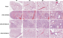 FIG 11
