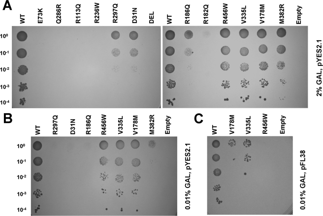 FIGURE 3.