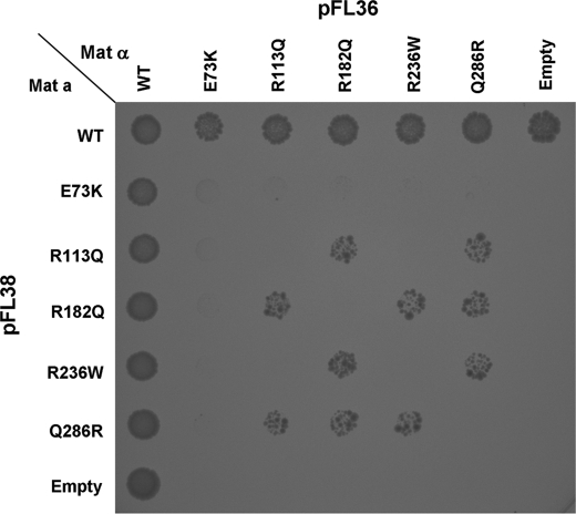 FIGURE 4.