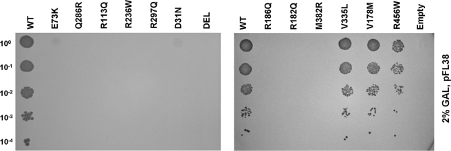 FIGURE 2.